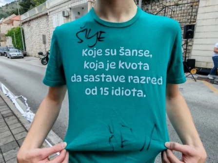 Opis slike